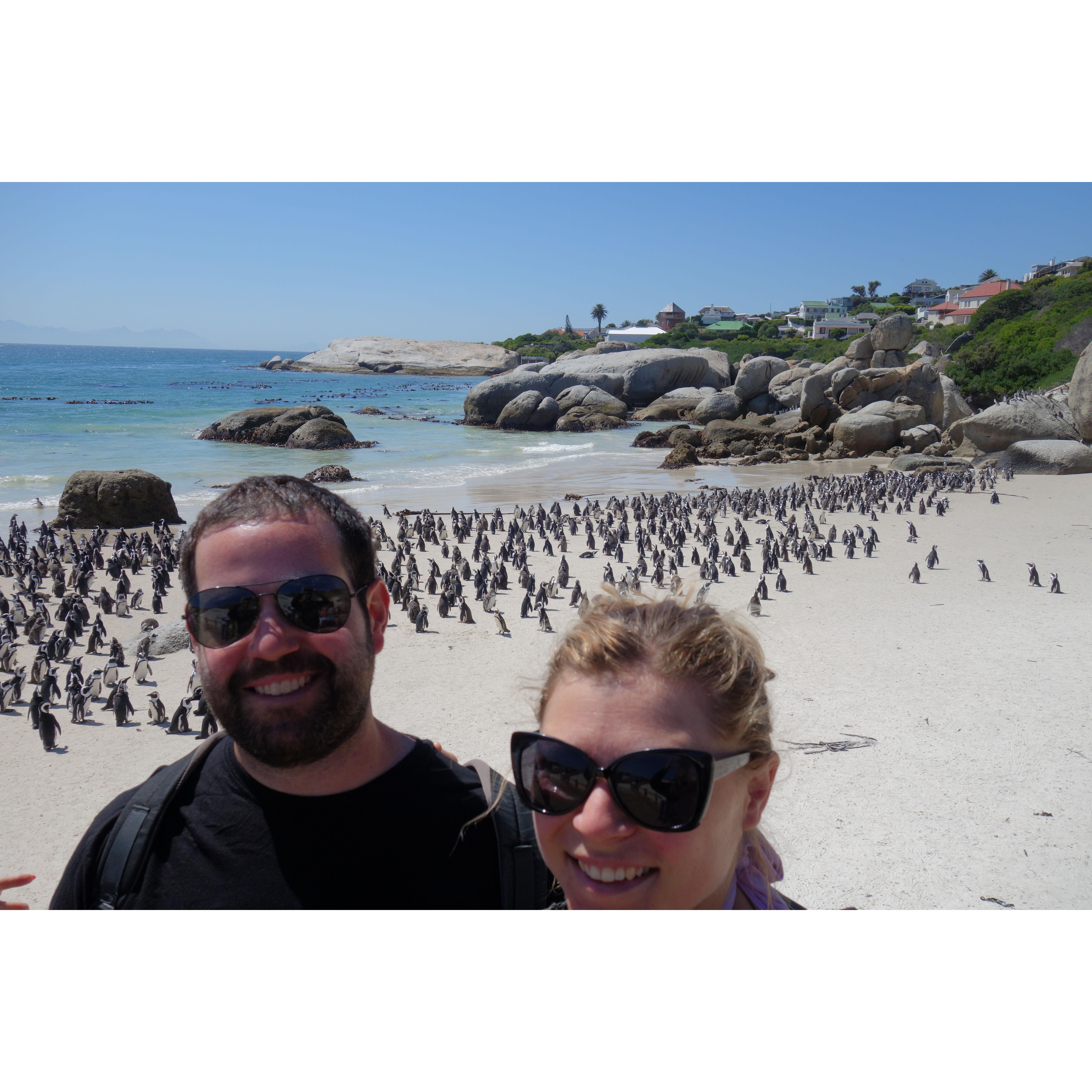 Jonahs first love - penguins! South Africa, 2019.