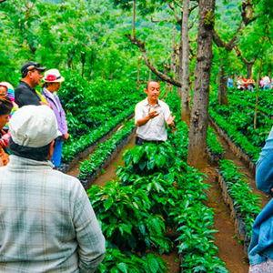 Coffee Tour