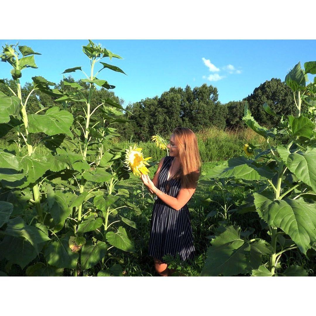 Spontaneous sunflower photo shoot