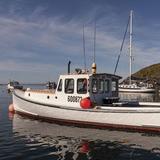 Rugosa Lobster Tours
