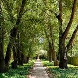 Hopelands Gardens