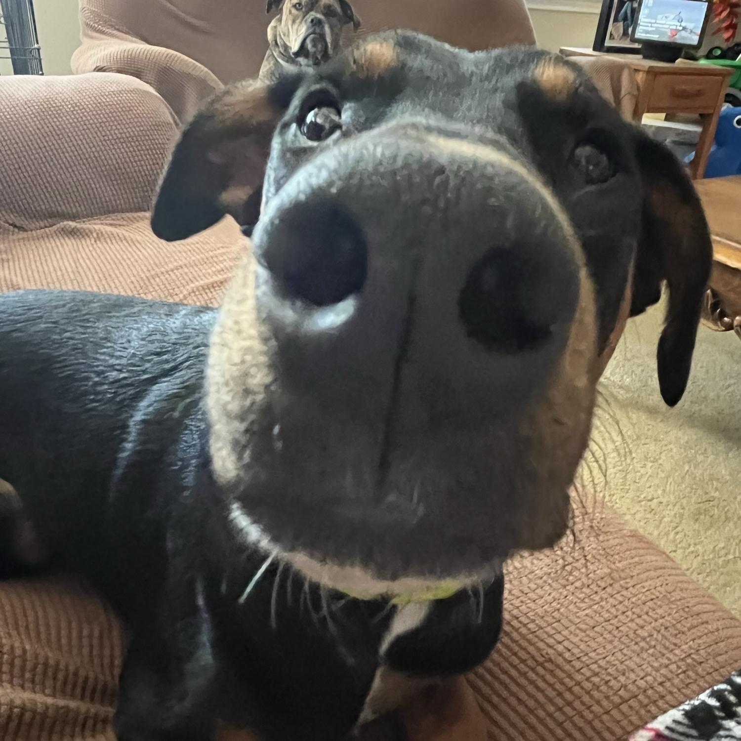 “whatcha doin mom”  ~ Smokey