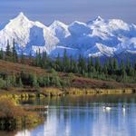 Denali National Park