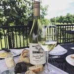 Saudé Creek Vineyards
