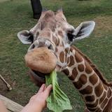 Fort Worth Zoo