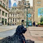 Philadelphia City Hall