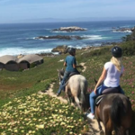 Explore Pebble Beach Coastline by Horseback