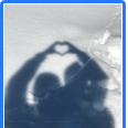 Love is in the air!