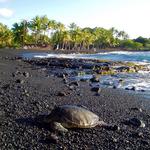 Punaluʻu Black Sand Beach