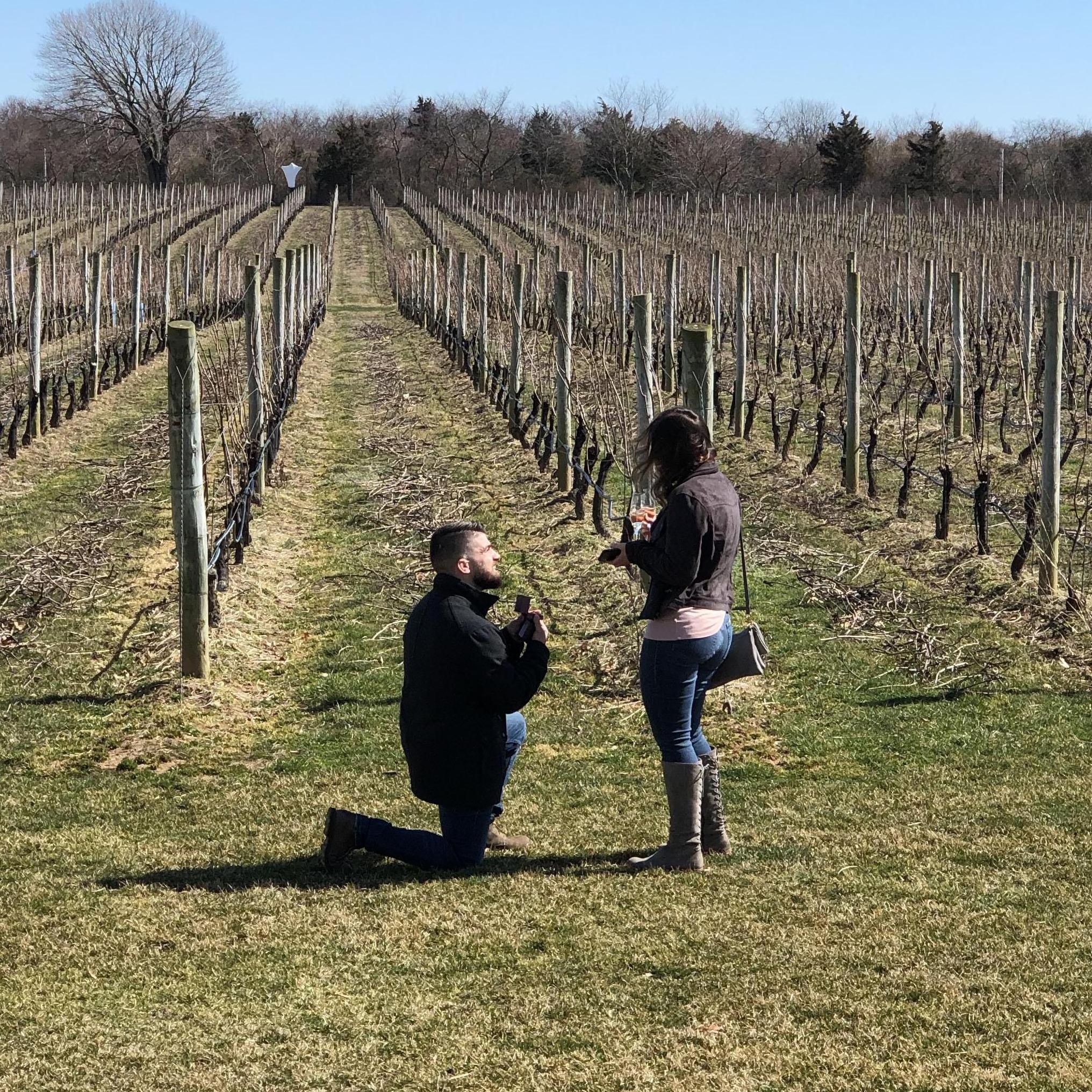 Sparkling Pointe
March 14, 2020