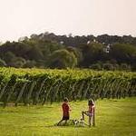 Chatham Vineyards & Winery