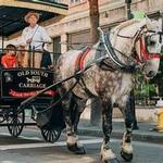 Historic Carriage Tour
