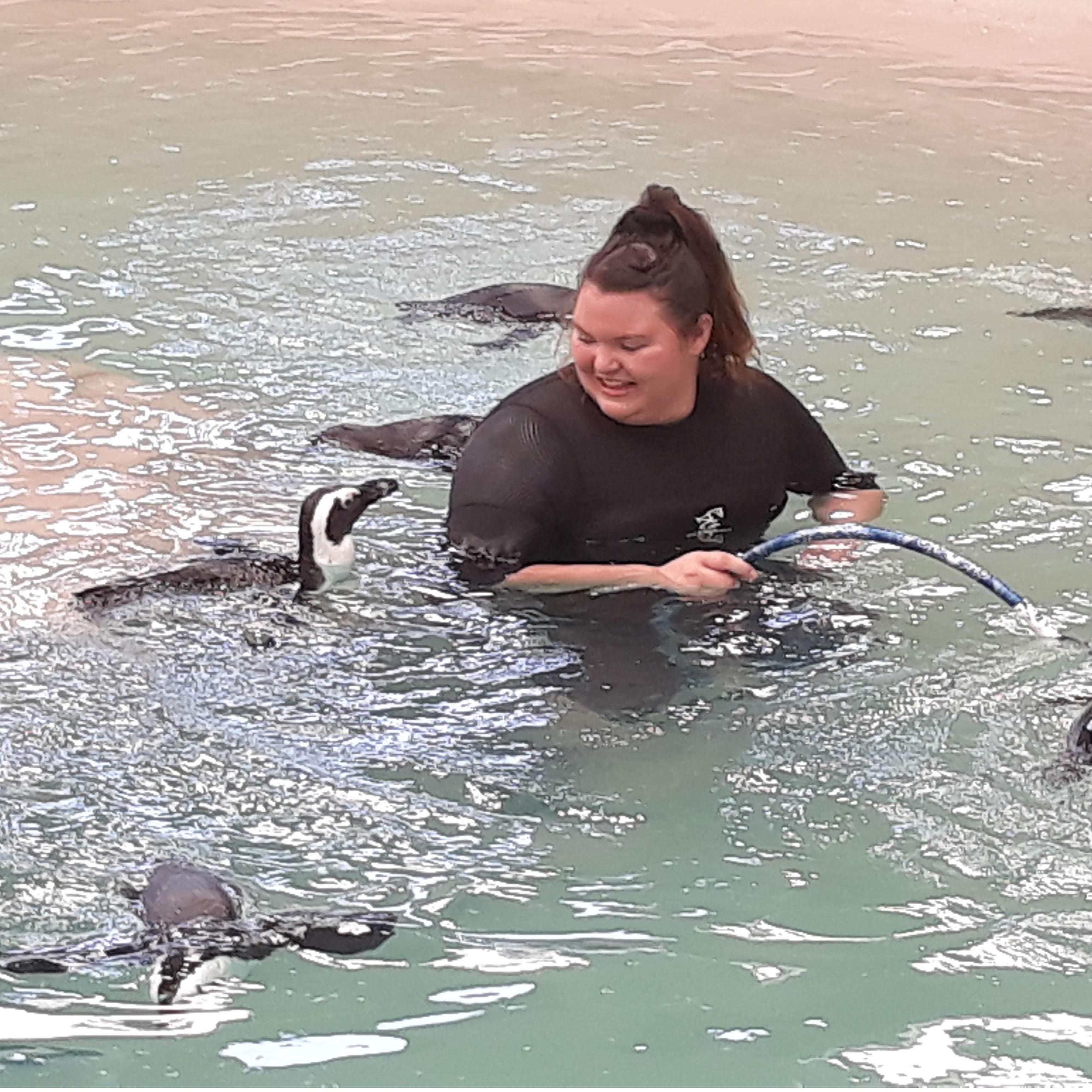 The best birthday present ever; swimming with the penguins!
