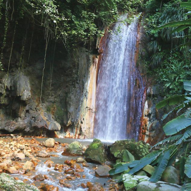 Superman Falls Hike - St. Lucia Honeymoon