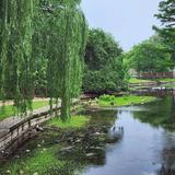 Landa Park