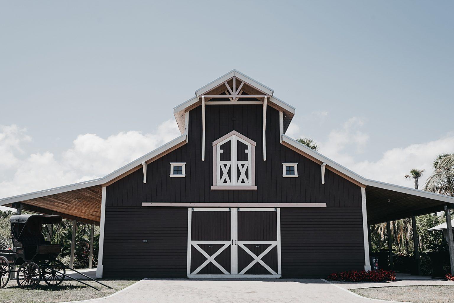The Wedding Website of Patricia McMahon and Ace Robb