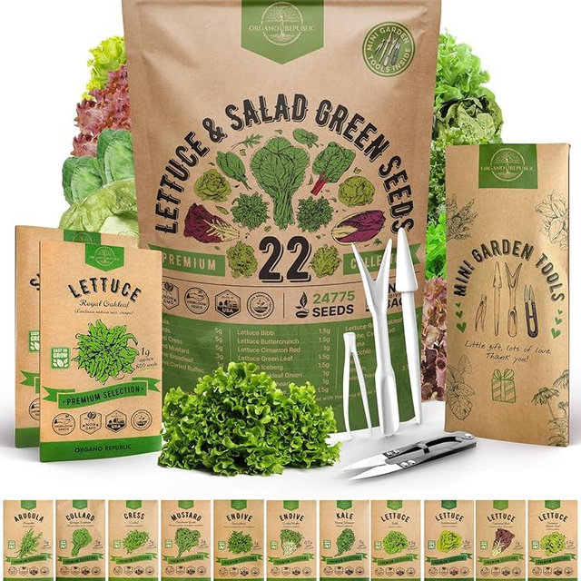 Organo Republic 22 Lettuce & Salad Greens Seeds Variety Pack 24,700+ Non-GMO Heirloom Lettuce Seeds for Indoor & Outdoor Garden, Hydroponics, Aerogarden - Arugula, Kale, Spinach, Swiss Chard, Lettuce