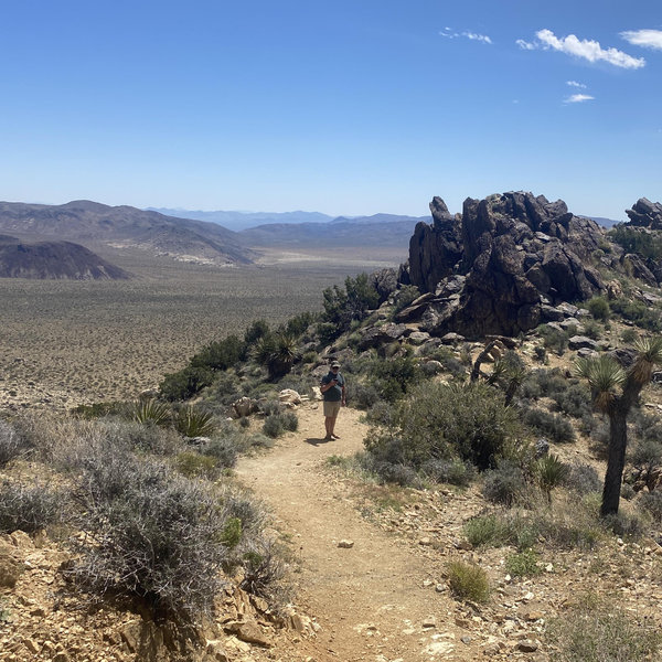 Joshua Tree National Park Association