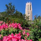 Bok Tower Gardens
