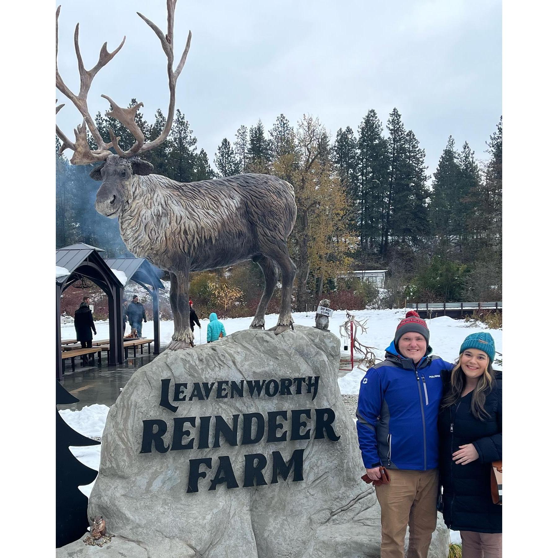 Spontaneous stop at the Reindeer Farm!
