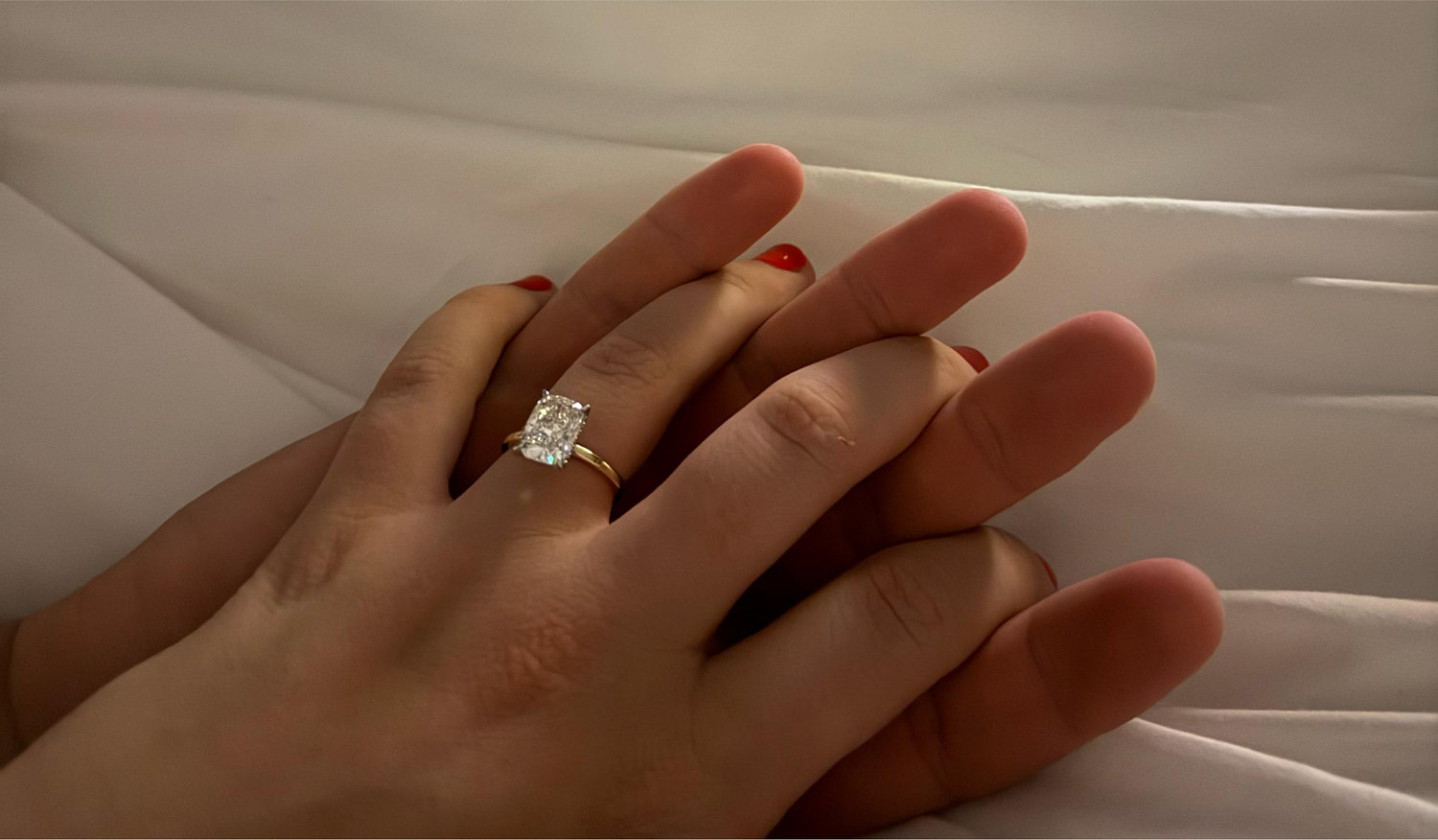 The Wedding Website of Tessa McLane and John Mitchell