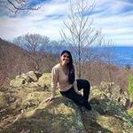 Shenandoah Park