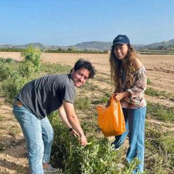 Newlywed Fund (IBAN: ES64 0049 0528 1527 1115 8466)