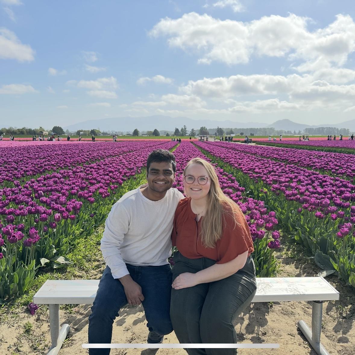 The tulip fields at Roozengaarde. Skagit, WA