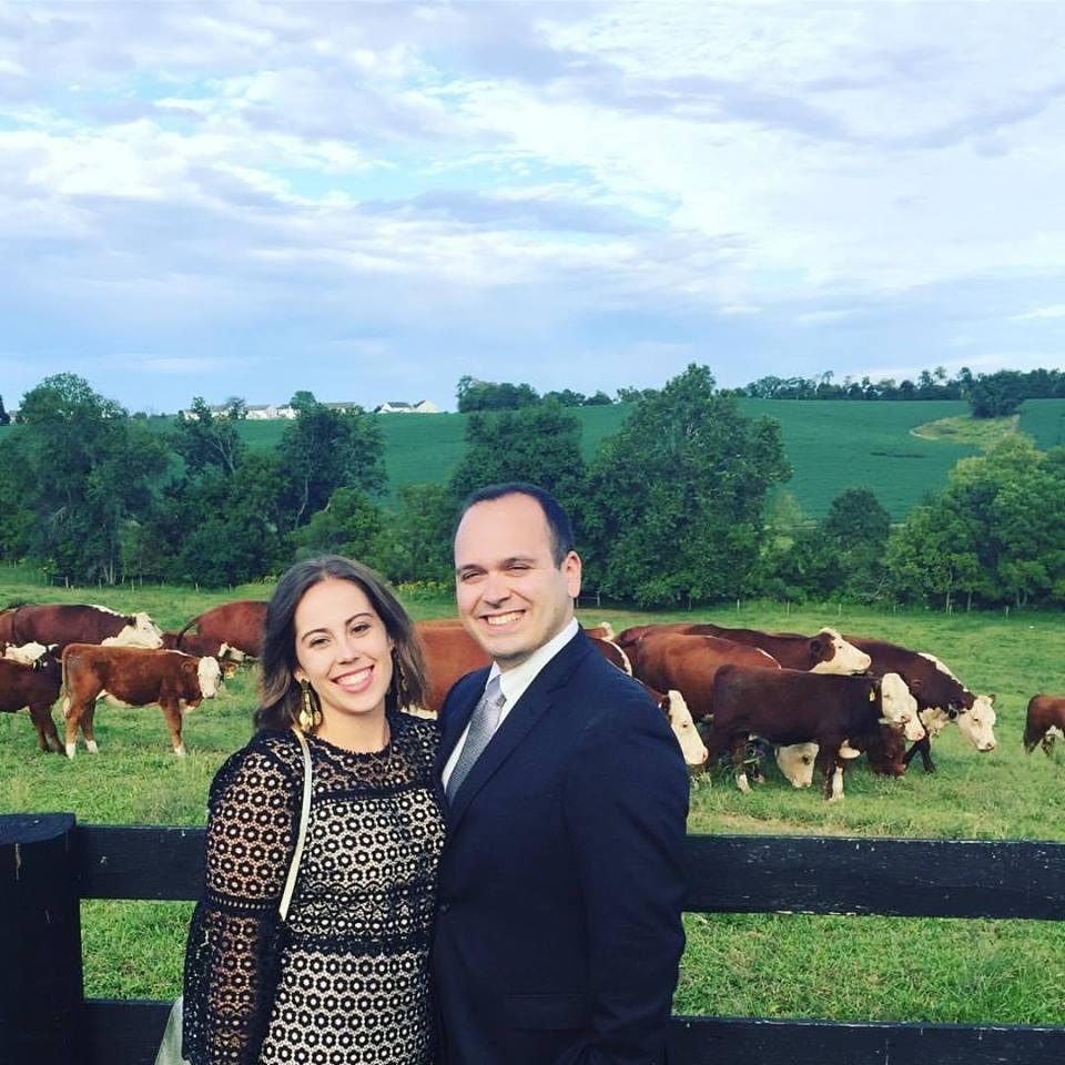 Cows and weddings