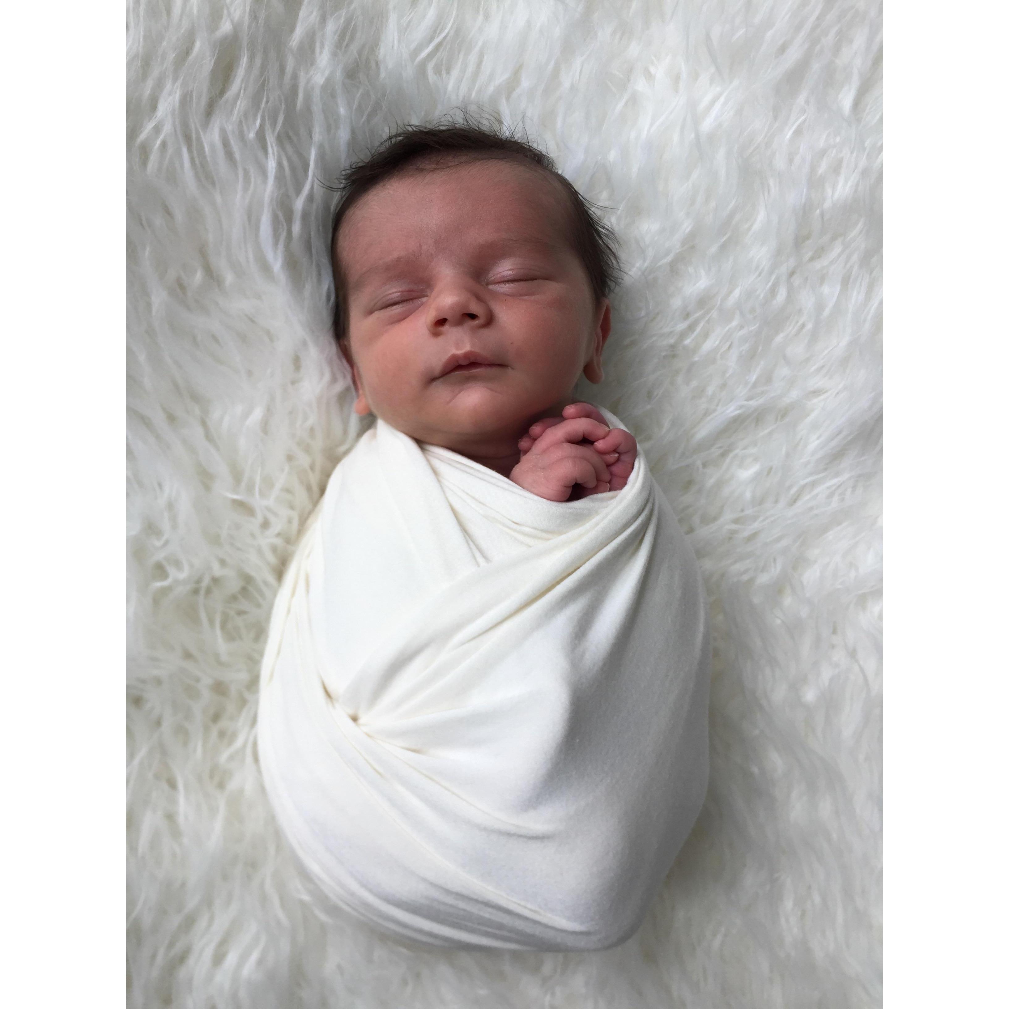 Our newest addition, Alystor Brian Monaghan