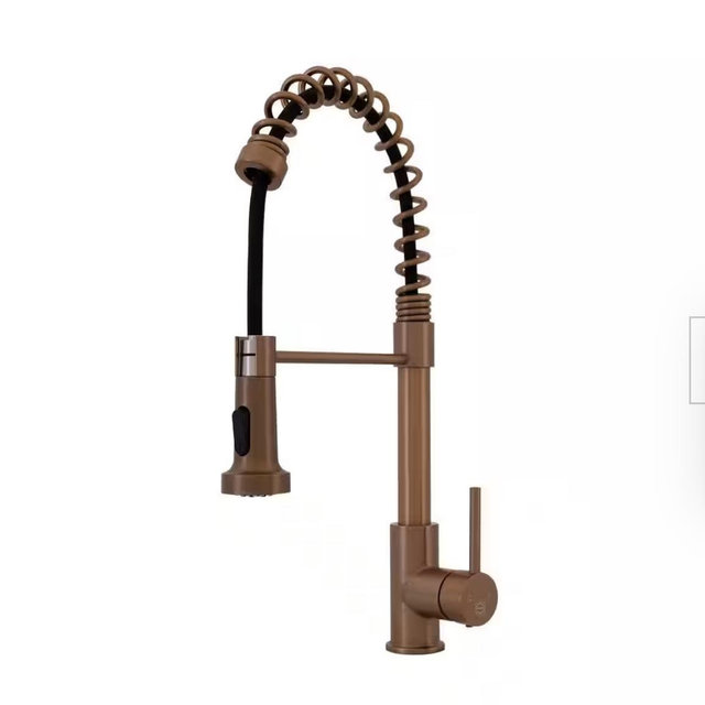 Pasha Single Handle Pull-Down Sprayer Kitchen Faucet — Copper