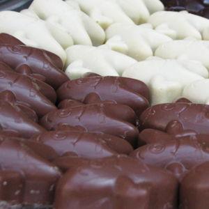 Belgian Chocolate Making Tour
