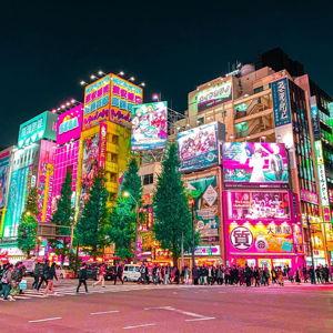 Shopping Trip in Akihabara