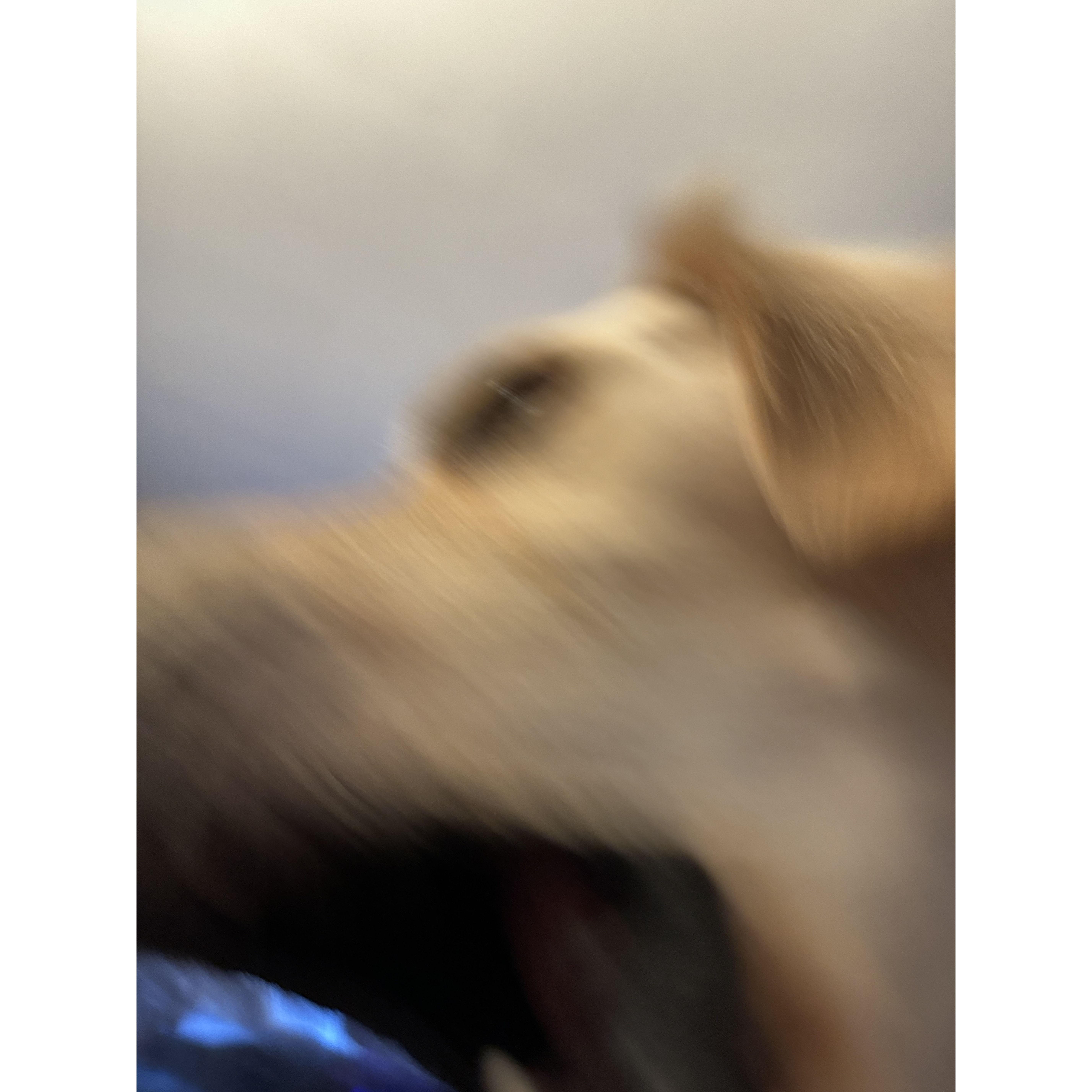 Mid-bite.