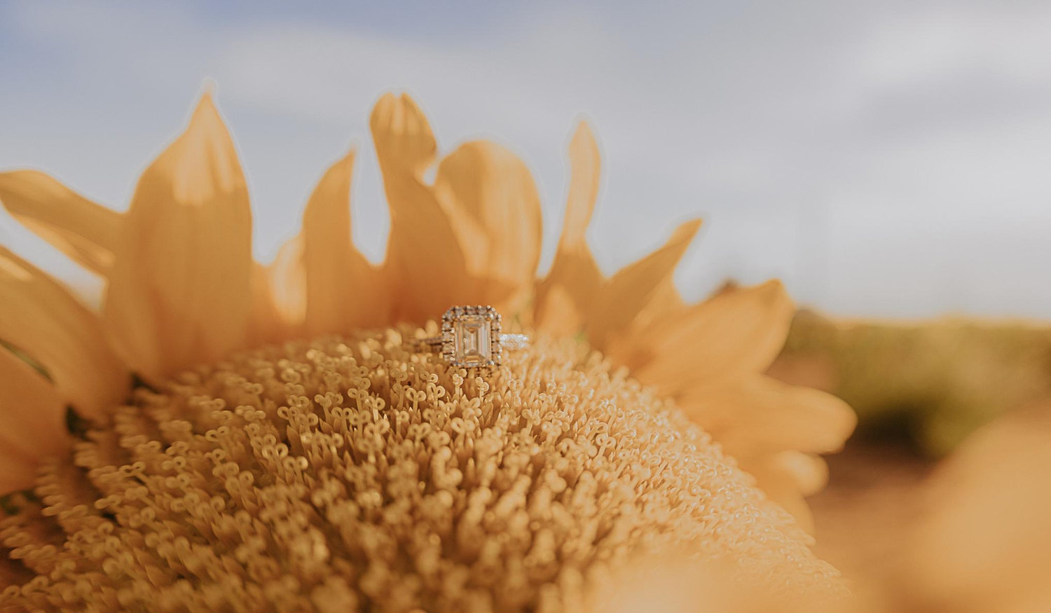 Footer image
