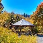 Virgil Phillips Farm Park