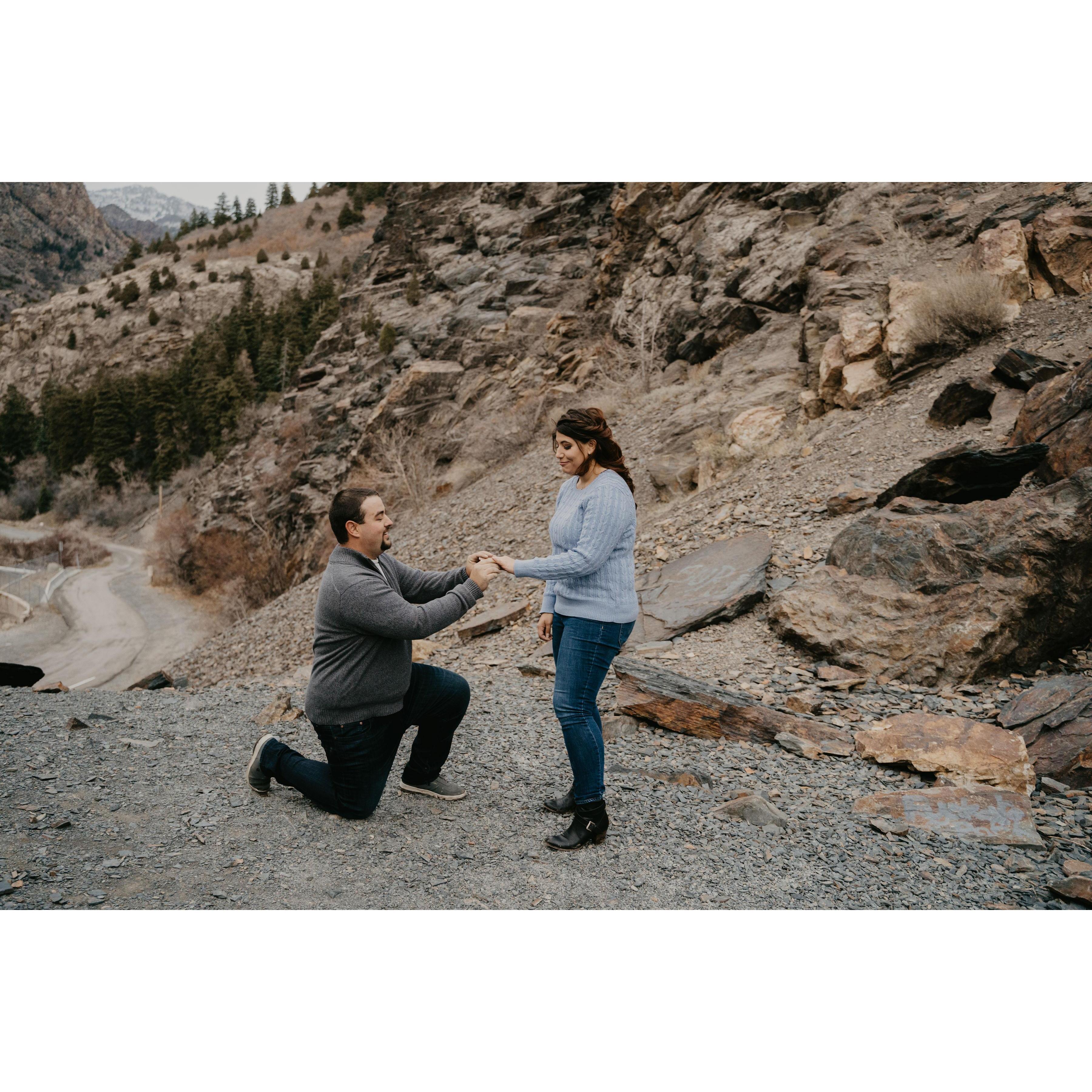 Proposal November 4th 2018