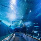 Seattle Aquarium