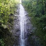 Manoa Falls