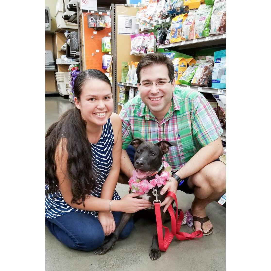 With Moana at puppy training