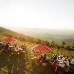 Carter Mountain Orchard