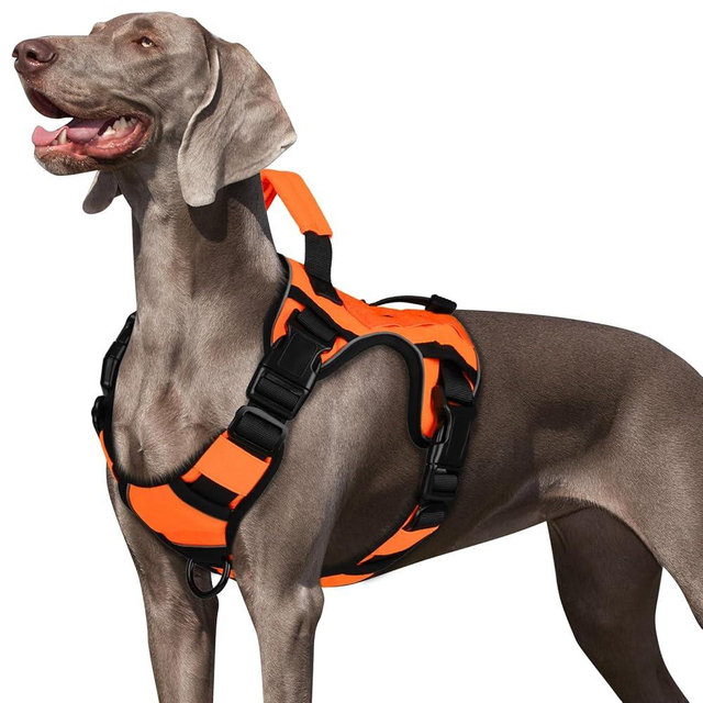 WINGOIN Orange Dog Tactical Harness for Small Dogs No Pull Adjustable Reflective K9 Military Dog Service Dog Harnesses with Handle, Metal Buckles for Dachshund, Boston Terrier, Beagle(S)
