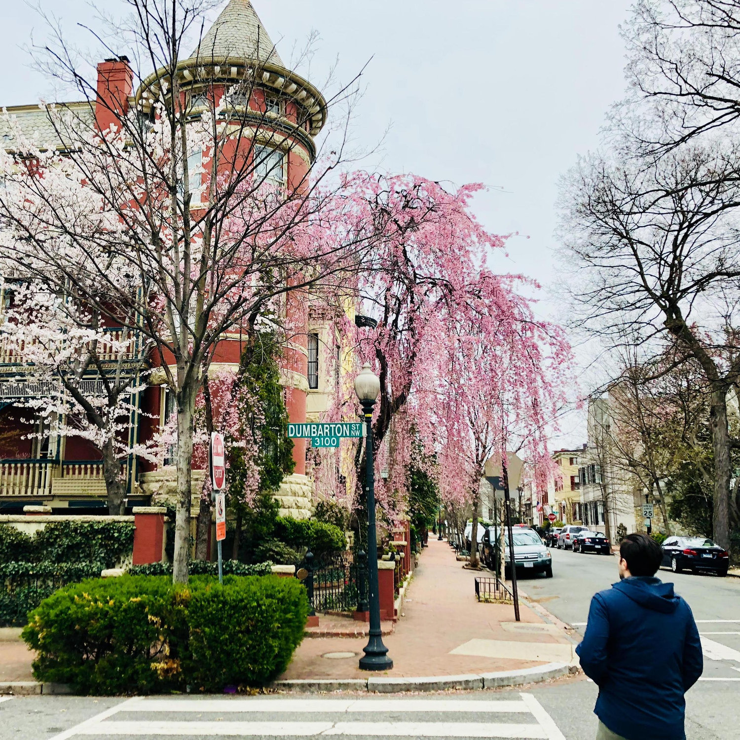 If there's a city more beautiful than DC, we haven't found it.