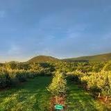 Warwick Valley Winery, Distillery & Orchard