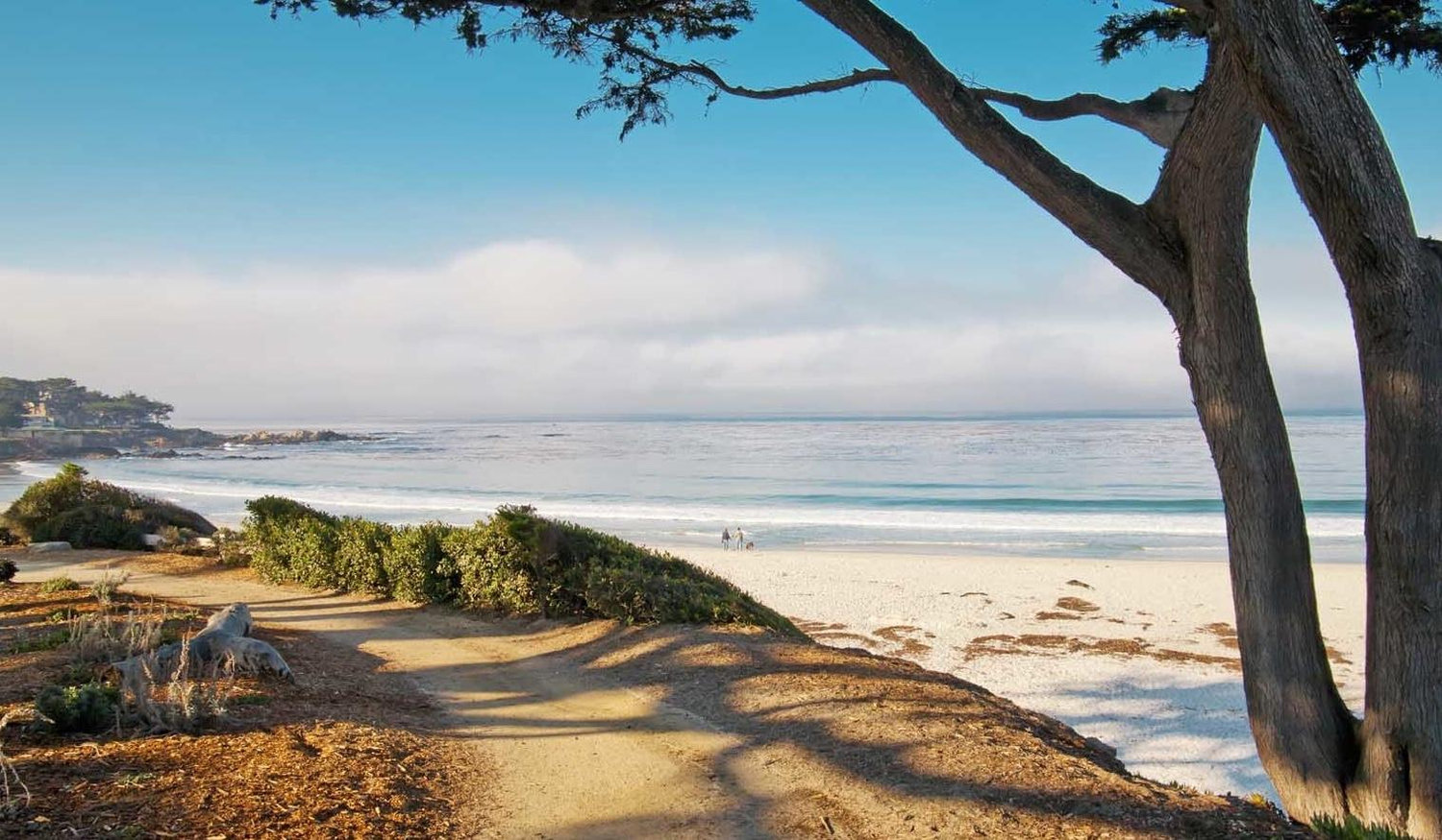 The Wedding Website of Melissa Lizarrago and Ryan Patterson