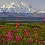 Denali National Park and Preserve