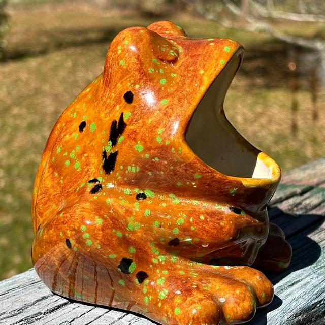 Speckled Brown Big Mouth Frog Frog...