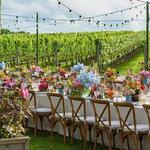 DRINK - Wölffer Estate Vineyard