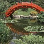 The Huntington Library, Art Museum, and Botanical Gardens