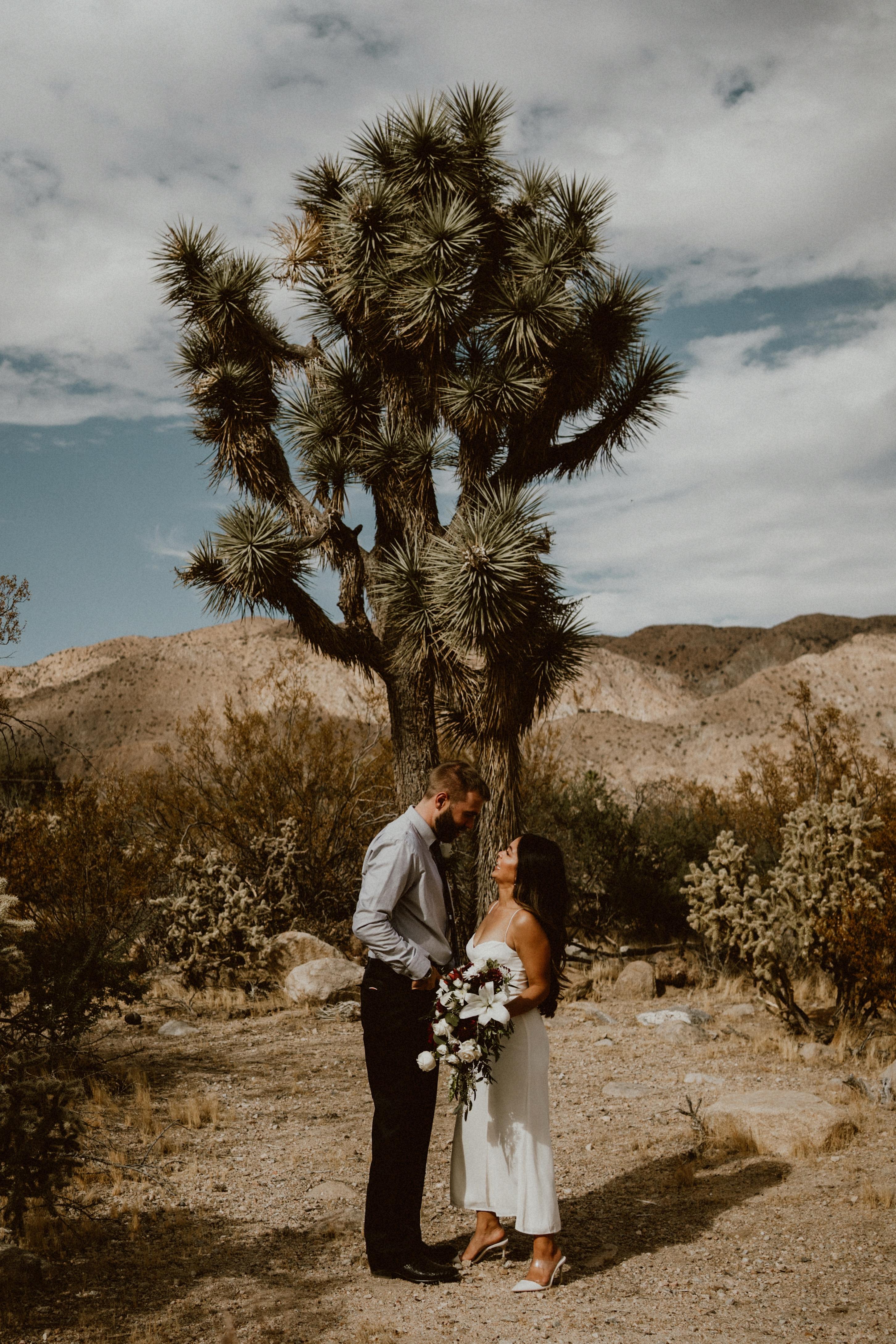 a81cc5a9-777b-4832-ab63-5676a17688ca